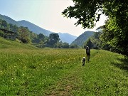 23 Verdi prati fioriti